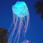 compressed_20250104_183506_0004