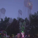 compressed_20250104_183524_0009