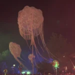 compressed_20250104_183526_0010