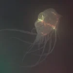 compressed_20250104_183550_0024